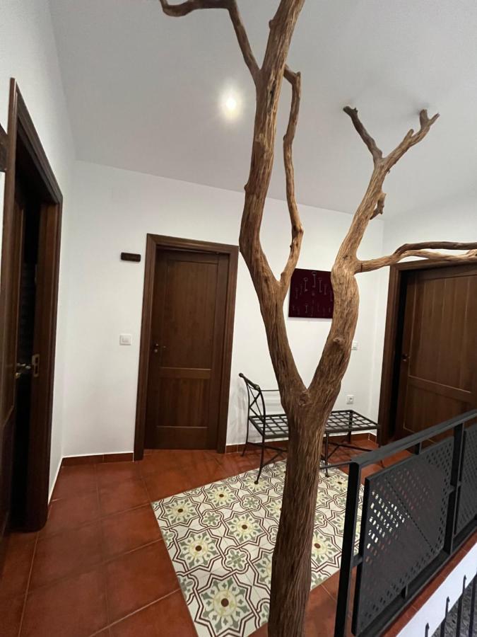 Casa Rural Las Pelliquerinas Almoharin Dış mekan fotoğraf